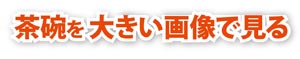 大きい画像で見る