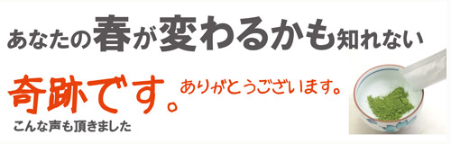 beni-top01.jpg
