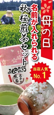 母の日おすすめNo1