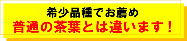 べにふうき は、希少品種です
