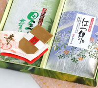 長寿煎茶セット