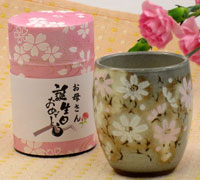 秋桜 湯呑み・煎茶セット