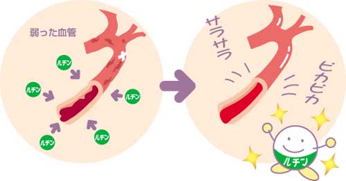 ルチンは元気の源