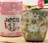 【母の日】秋桜・湯呑みと新茶のセット
